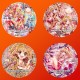 Kamikaze Kaitou Jeanne Blu-Ray (Multi-Subs)